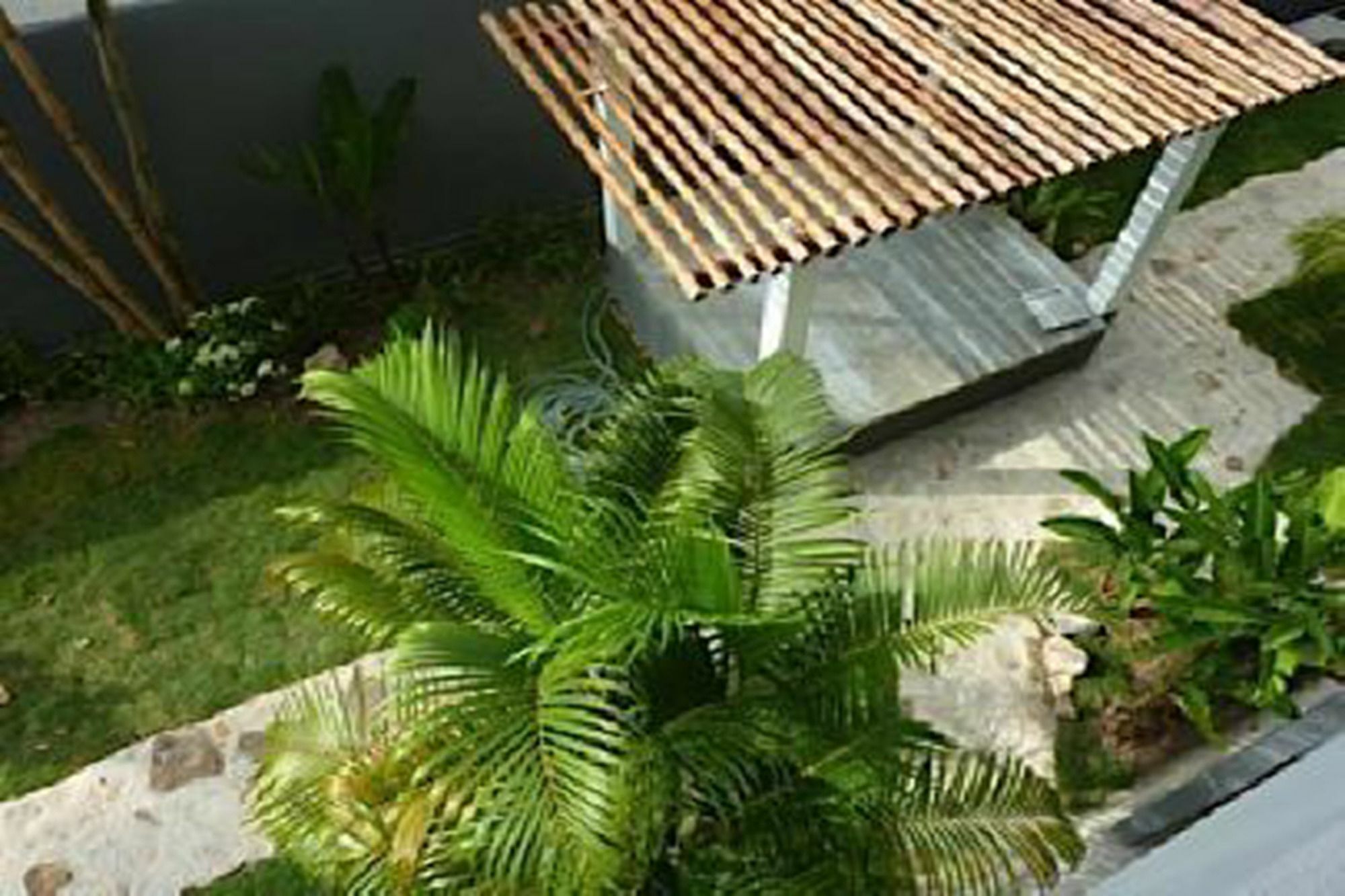 Sairee Sairee pensión Ko Tao Exterior foto