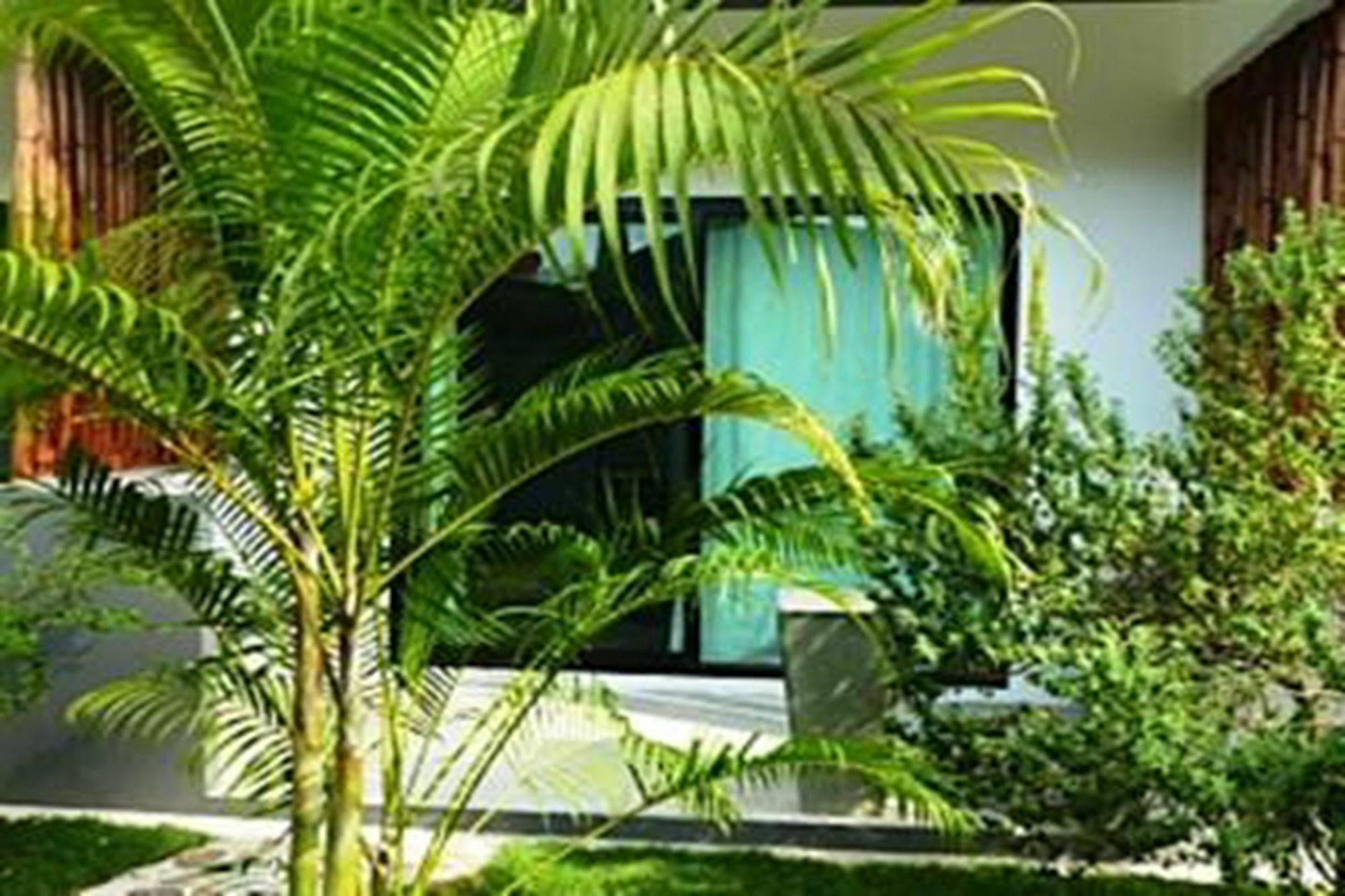 Sairee Sairee pensión Ko Tao Exterior foto