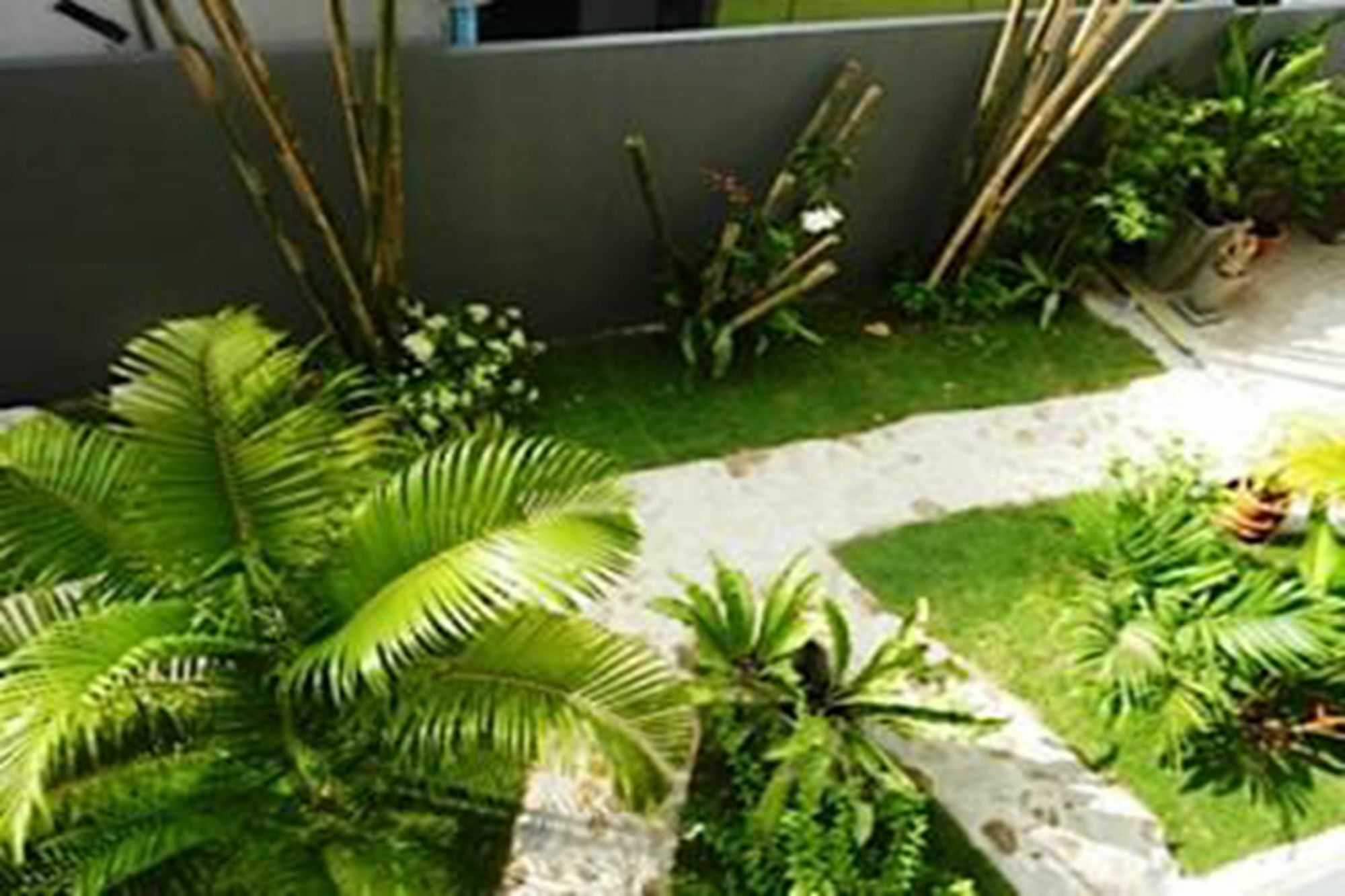 Sairee Sairee pensión Ko Tao Exterior foto